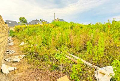 0.05 ha Residential Land at Thigio - 3