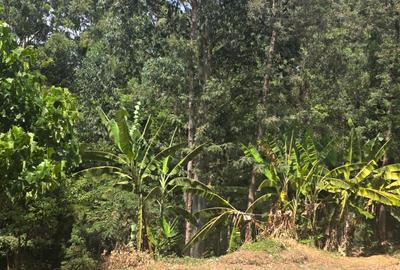 Land for Sale in Kitisuru