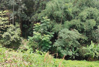 0.5 ac Land at Kitisuru Springs