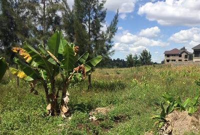 2,400 ft² Residential Land at Kenol Kenol Kabati Highway