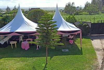 6 Bed House with Garden at Kitengela On A Full Quarter Acre - 3