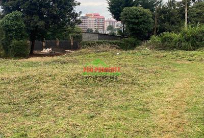 0.05 ha Commercial Land in Kinoo