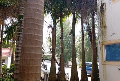 3 Bed Apartment with Swimming Pool at Karen - 2