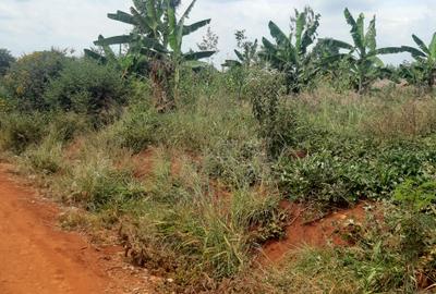 0.125 ac Residential Land at Riverside Drive - 2