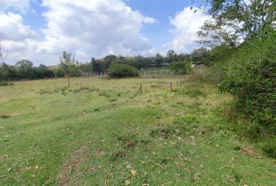 Residential Land in Karen Hardy - 4