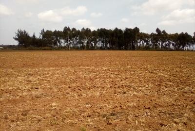 Land at Timau