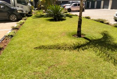 3 Bed Apartment with En Suite in Westlands Area - 3