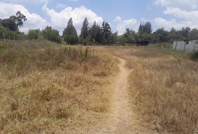 0.5 ac Land at Kerarapon Drive - 4