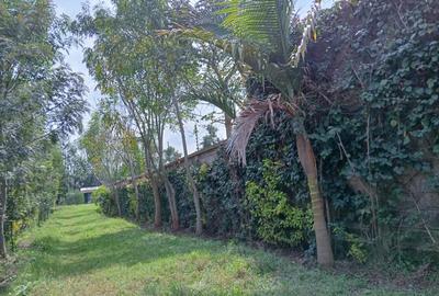 0.5 ac Residential Land in Karen