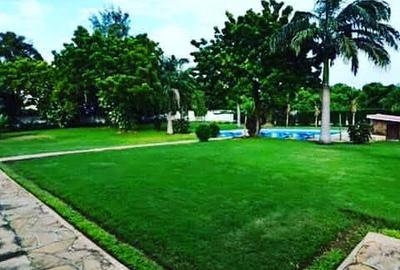 Furnished Commercial Property with Service Charge Included in Nyali Area