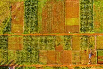 Residential Land in Ruiru - 4