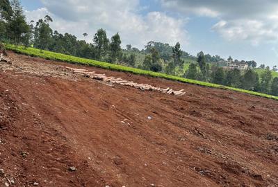 1 ac Land in Tigoni - 2