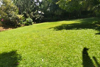 6 Bed House with En Suite in Lavington - 2