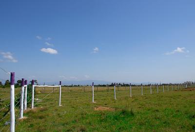 Residential Land in Naivasha - 2