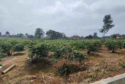 Land in Runda - 2