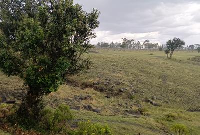 Land at Naromoru Nyahururu Road