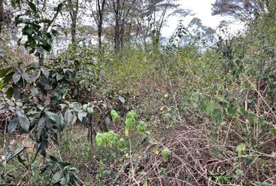 Commercial Land at Karen - 4