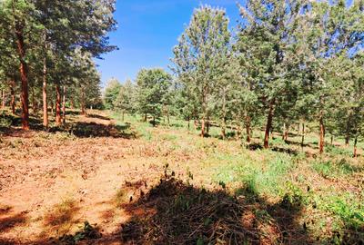500 m² Residential Land at Oaklands