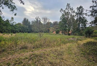 Residential Land in Karen