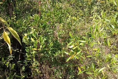 9.75 ac Land at Naro Moru - Kirima