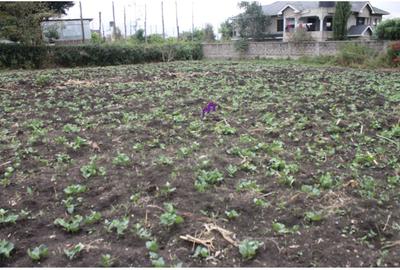 0.10 ha Land at Rimpa Road