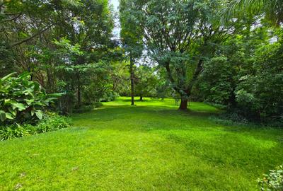 5 Bed House with En Suite in Kitisuru - 4