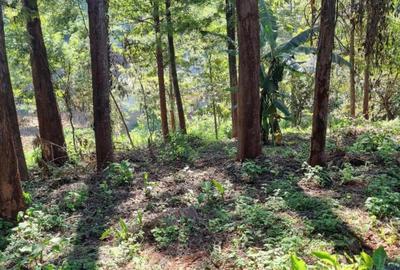 0.5 ac Land at Kirawa Road - 2