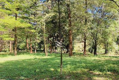 10 ac Land in Karen - 2