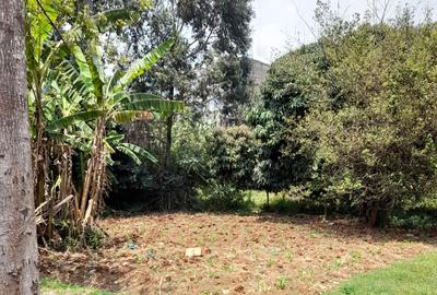 Land at Muthiga - 4