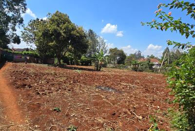 Residential Land at Flem Tree - 4