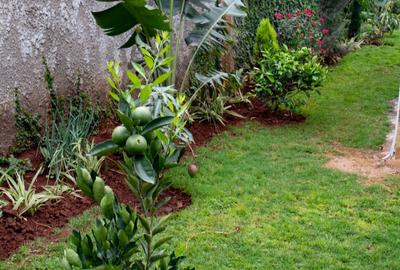 6 Bed Townhouse with En Suite at Masai Lodge Road - 3