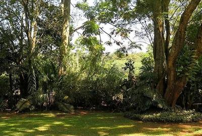 0.75 ac Land at Chalbi Drive