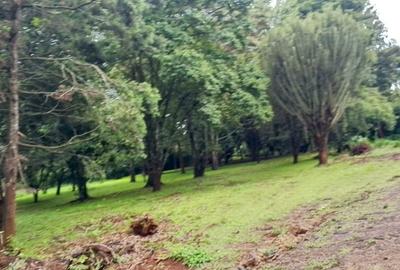 Land in Karen