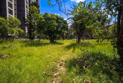 Commercial Land in Kilimani