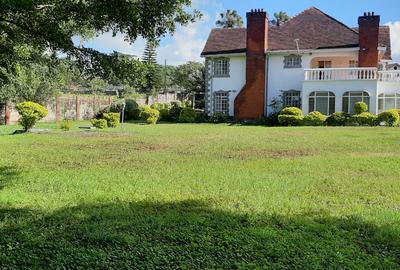 Commercial Property with Backup Generator in Lavington - 4