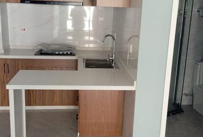 Studio Apartment with Swimming Pool at Off Lenana Road - 3