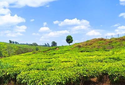1 ac Residential Land at Tigoni