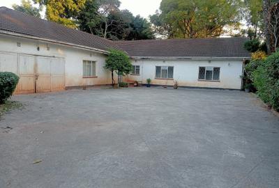 Commercial Property in Westlands Area