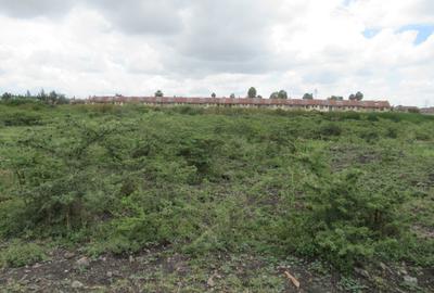 5 ac Land at Kiungani Rd - 2