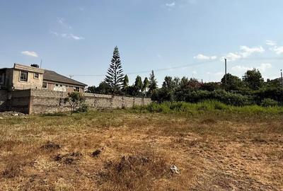 Land at Muthaiga North - 3