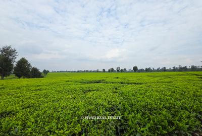 995 ac Land in Tigoni - 4