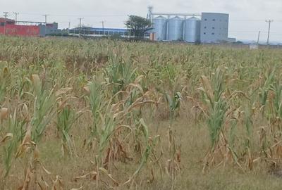 20 ac Land at Kitengela Plains - 4