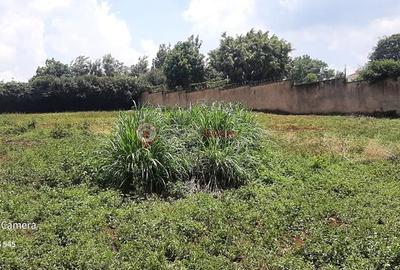 Residential Land at Runda Mumwe