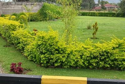 3 Bed Apartment with Staff Quarters at Karen - 2