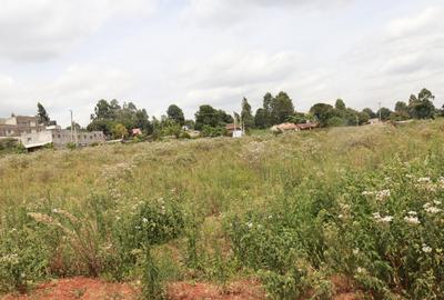 0.125 ac Commercial Land at Muchatha