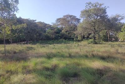 Residential Land at Off Forest Edge Rd