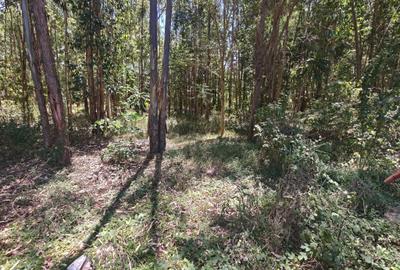 0.5 ac Residential Land at Ridgeways - 2