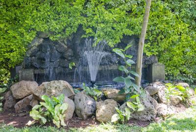 5 Bed House with Swimming Pool in Karen - 3
