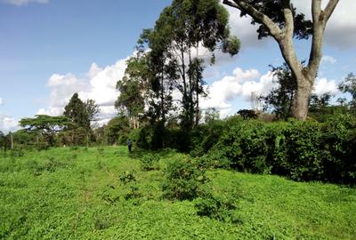 2 ac Land in Garden Estate