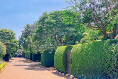 4 Bed House with En Suite at Kirawa Road - 3